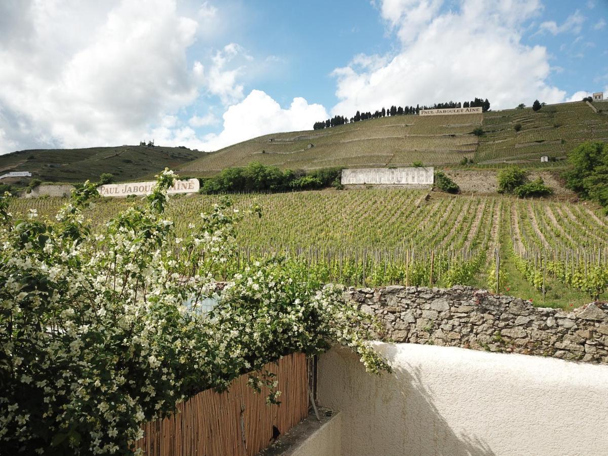 Le Pavillon De L'Hermitage - Spa Ouvert D'Avril A Octobre Тен-л'Эрмитаж Экстерьер фото